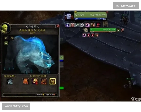 魔兽世界大脚揭秘:精准显示怪物血量的终极技巧 魔兽世界大脚揭秘:精准显示怪物血量的终极技巧